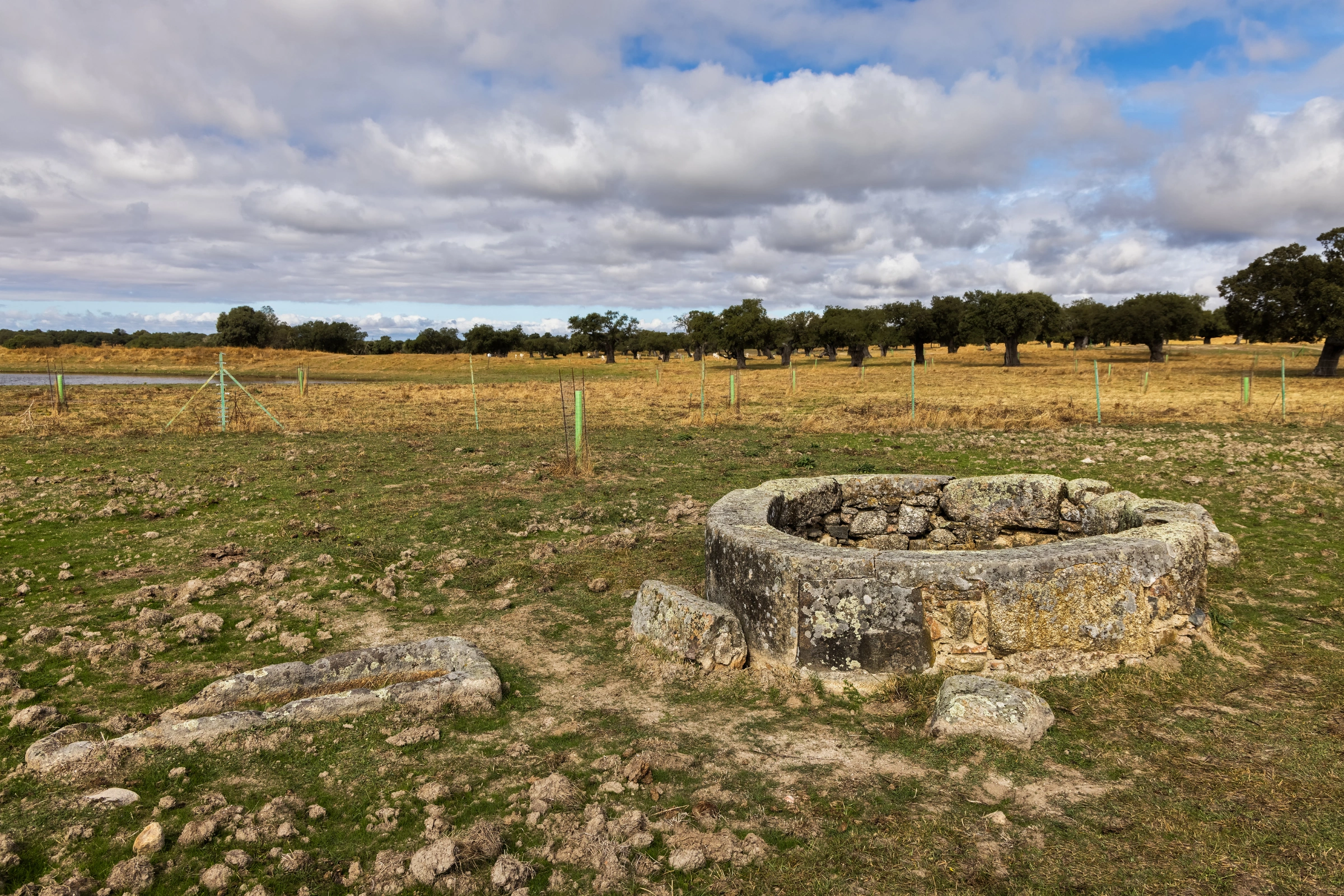 Matanzas[1].webp